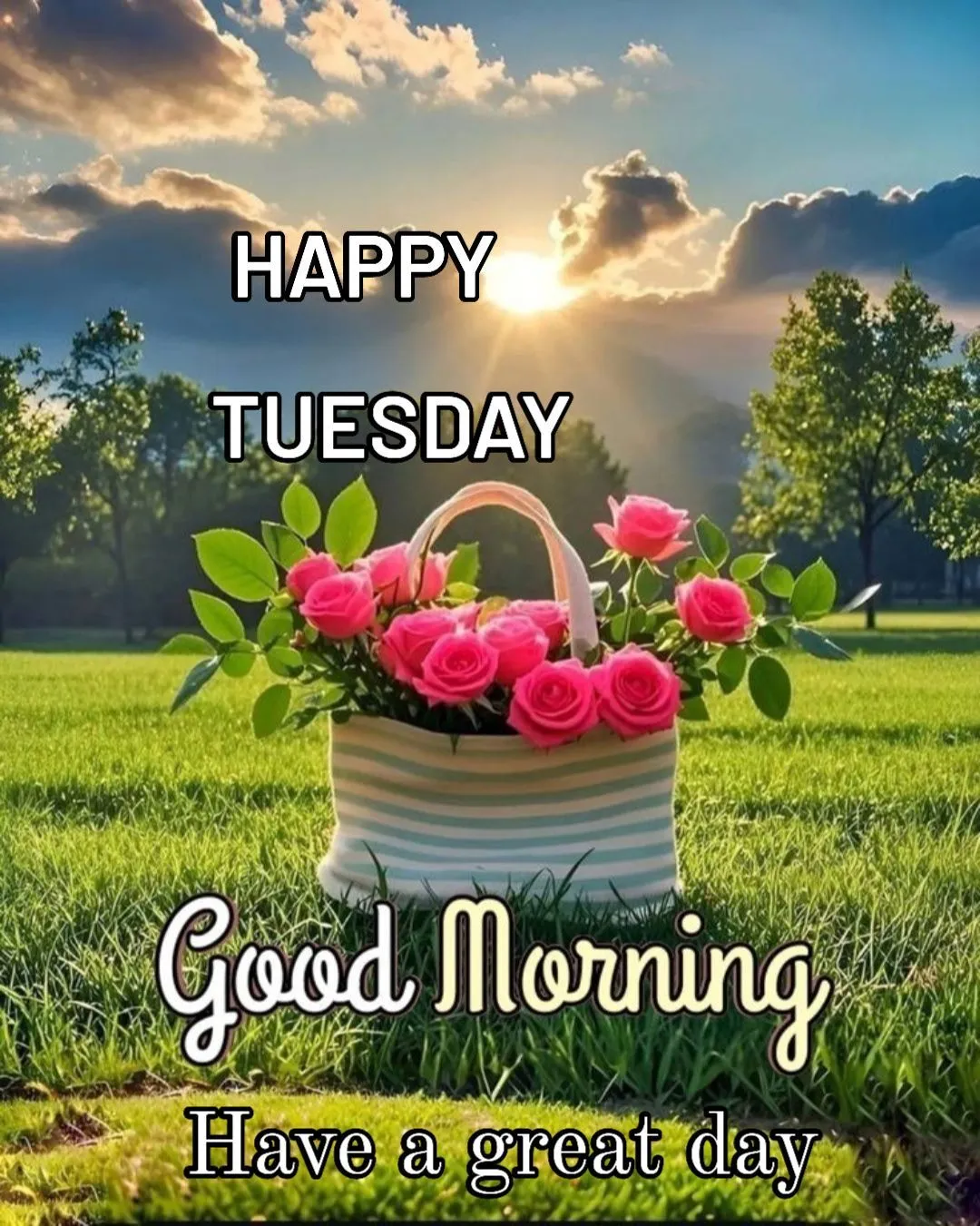 Good Morning Tuesday Images Good Morning Tuesday Images