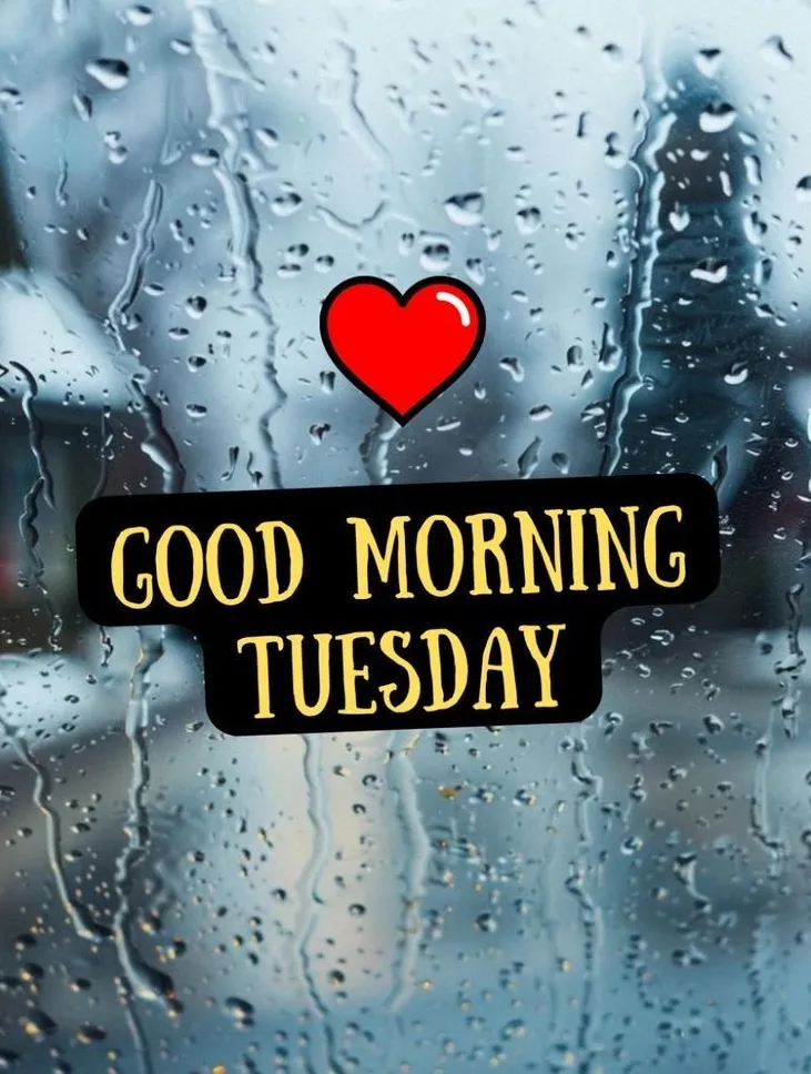Good Morning Tuesday Images Good Morning Tuesday Images