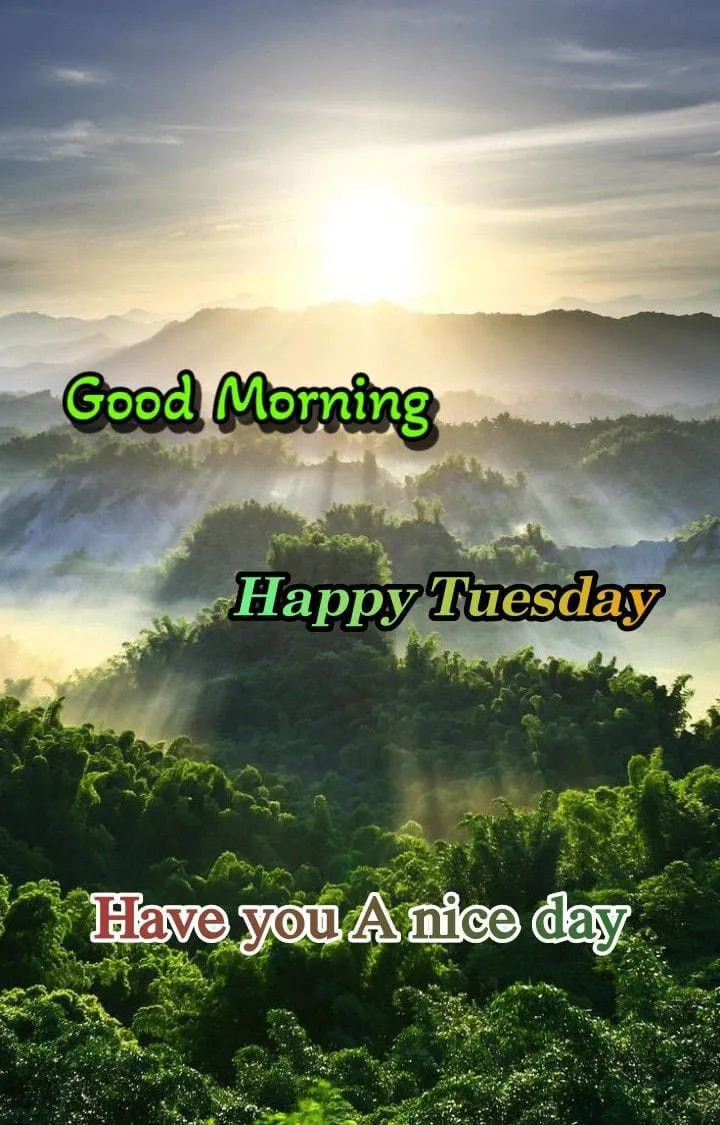 Good Morning Tuesday Images Good Morning Tuesday Images