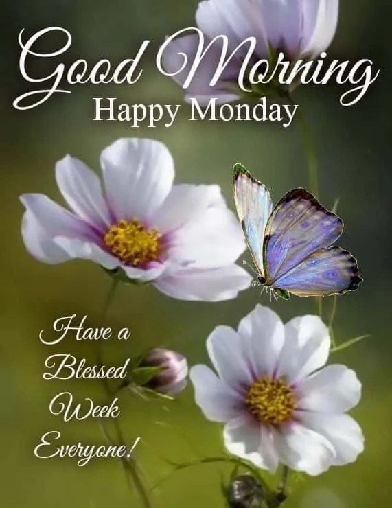 happy-monday-good-morning-images-4 Happy Monday Good Morning Images