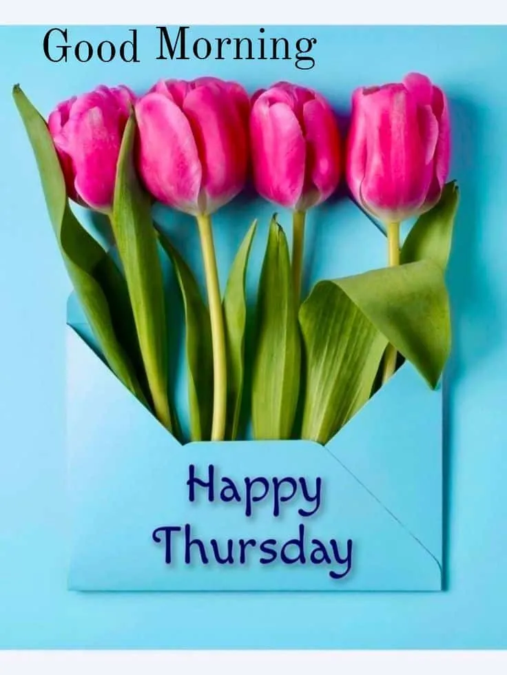happy-thursday-good-morning-images-5 Happy Thursday Good Morning Images