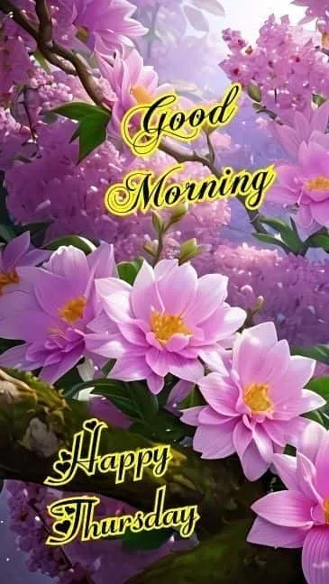 happy-thursday-good-morning-images-6 Happy Thursday Good Morning Images
