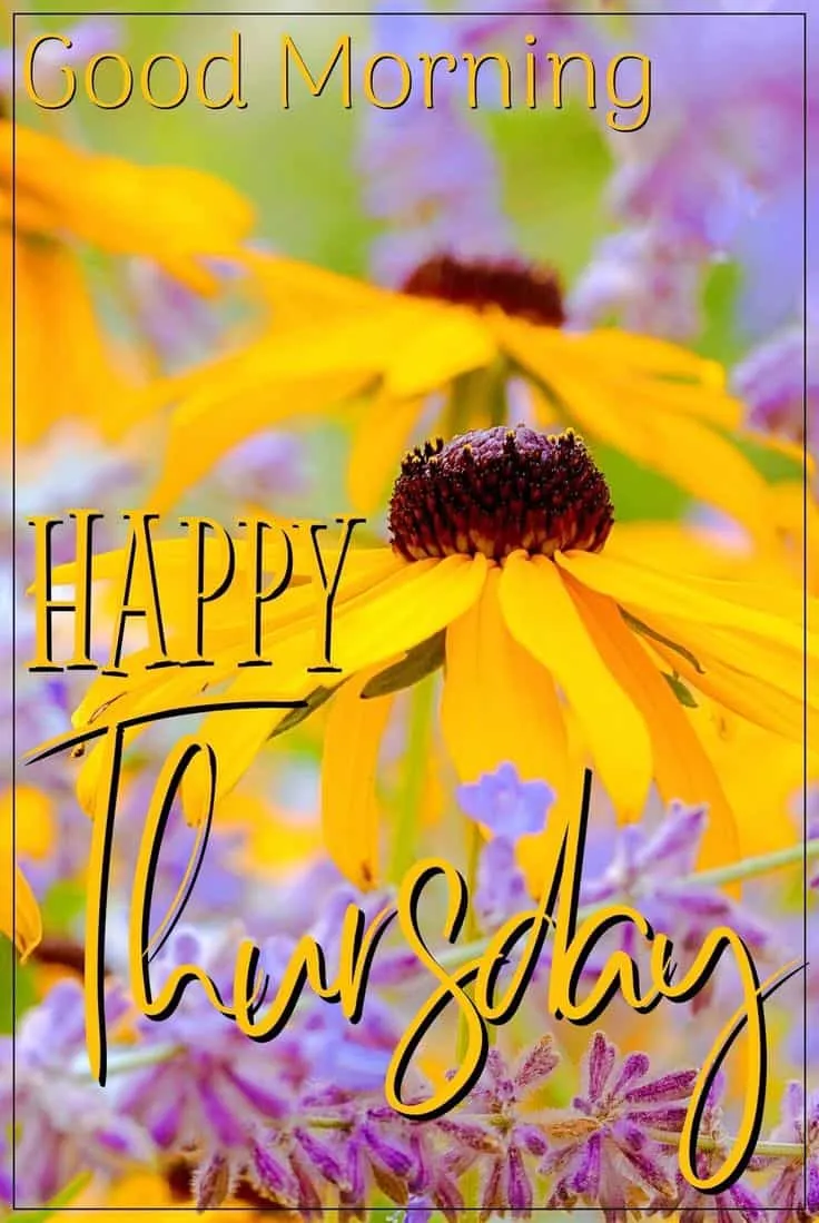 happy-thursday-good-morning-images-9 Happy Thursday Good Morning Images