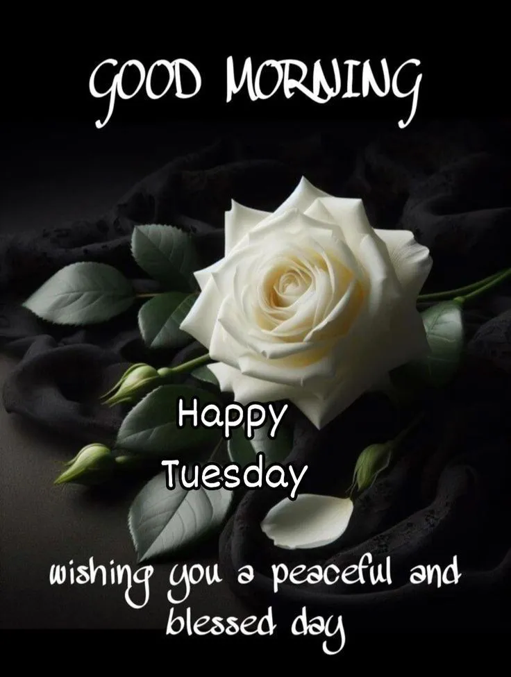 Happy Tuesday Good Morning Images Happy Tuesday Good Morning Images