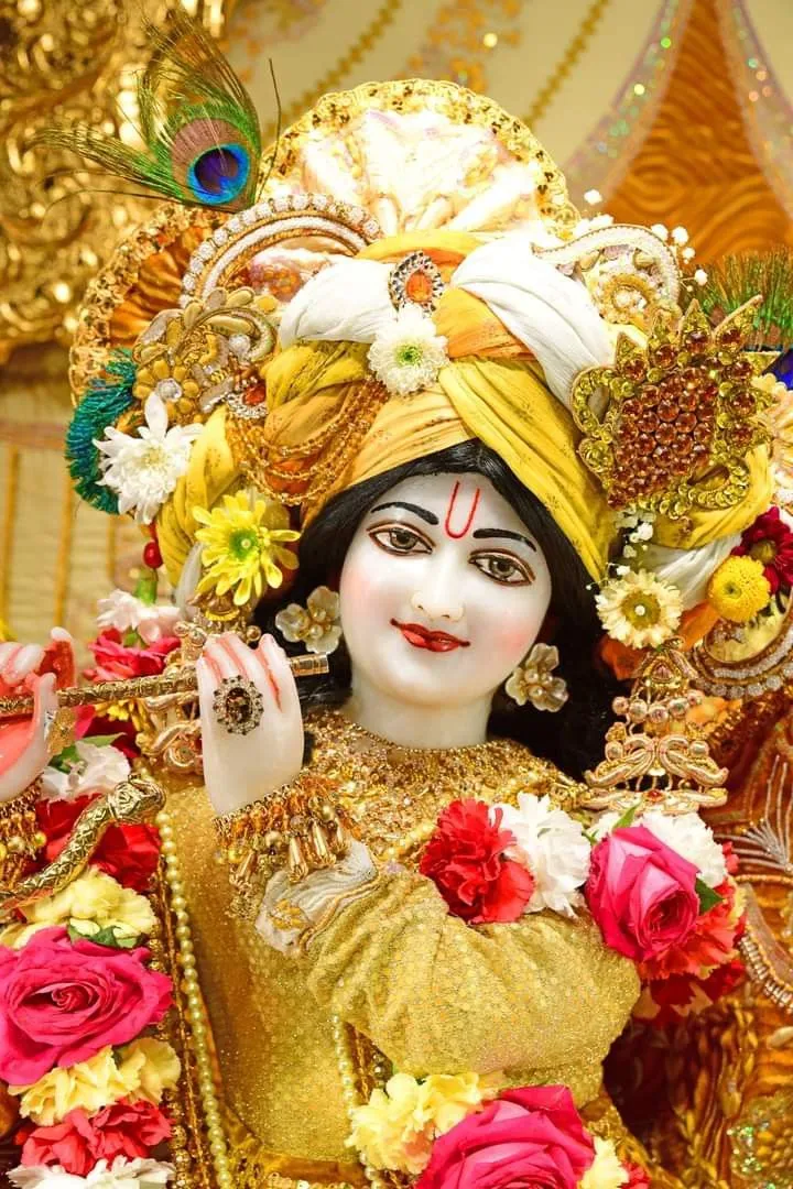 krishna-picture-3 Krishna Picture