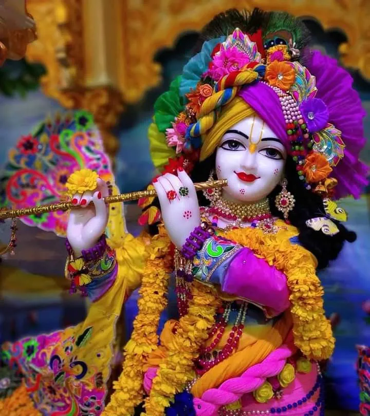 krishna-picture-4 Krishna Picture