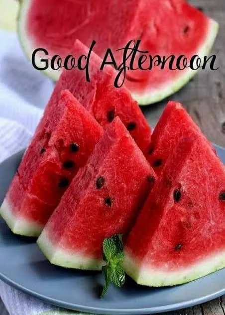 Lunch Good Afternoon Images Lunch Good Afternoon Images