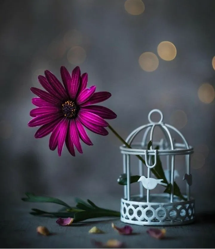 nice-dp-for-whatsapp-profile-6 Nice Dp For Whatsapp Profile