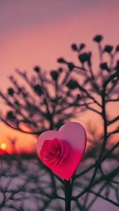 nice-whatsapp-dp-3 Nice Whatsapp Dp