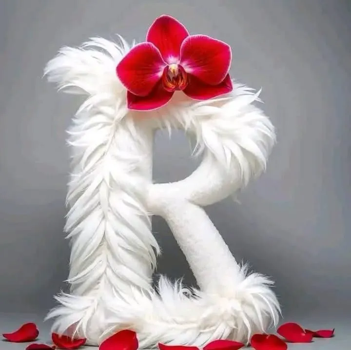 Stylish R Letter Dp
