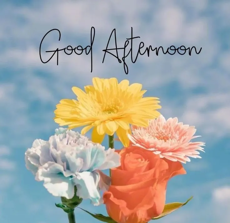 whatsapp-good-afternoon-images-1 Whatsapp Good Afternoon Images