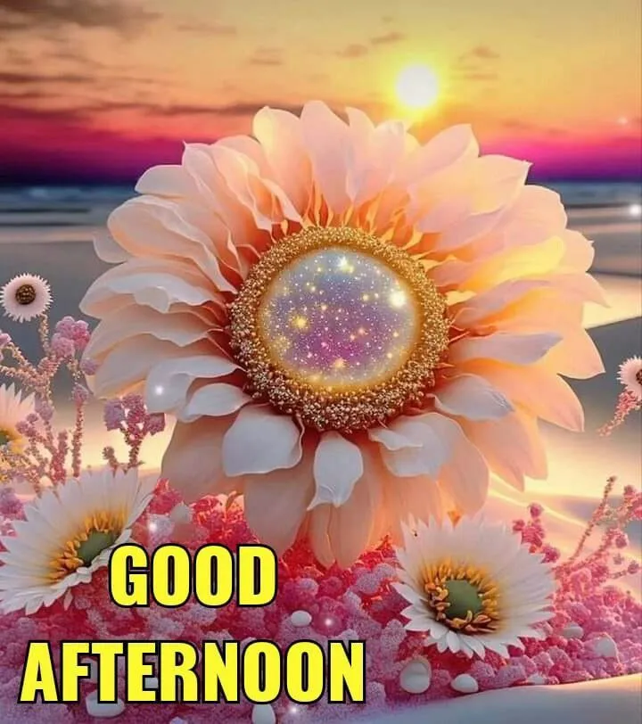 whatsapp-good-afternoon-images-10 Whatsapp Good Afternoon Images