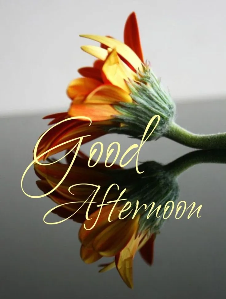 whatsapp-good-afternoon-images-11 Whatsapp Good Afternoon Images