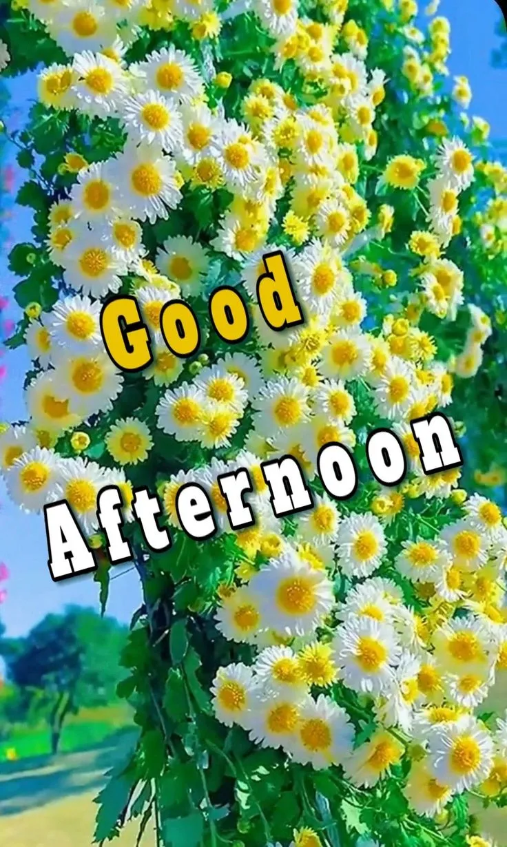 whatsapp-good-afternoon-images-6 Whatsapp Good Afternoon Images